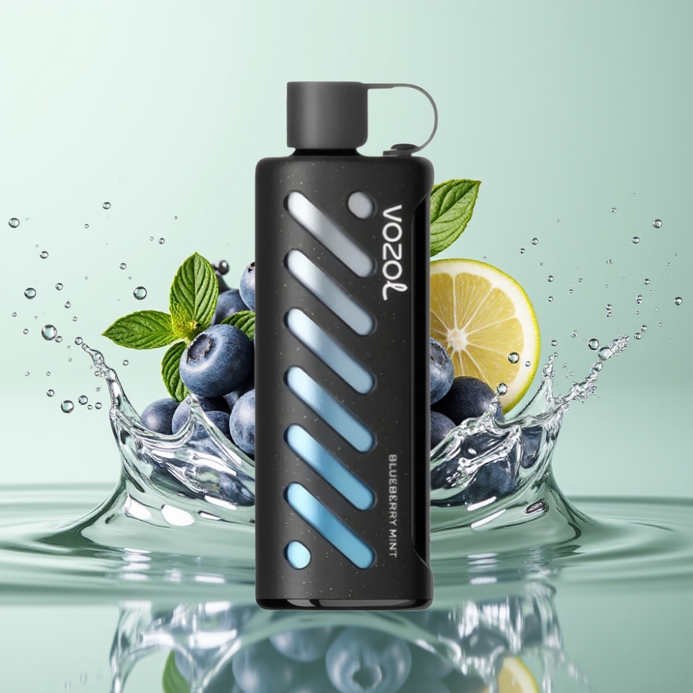 VOZOL Gear Shisha 25000 Puffs S.i.L.C Tech Dual Mesh Menta Blueberry