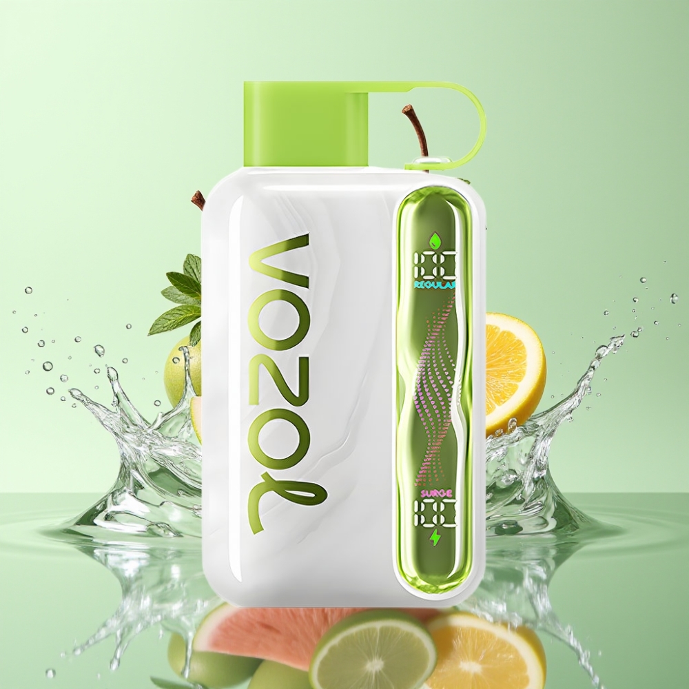 VOZOL STAR 40000 Puffs 1000mAh Tipo-C Menta Fresca