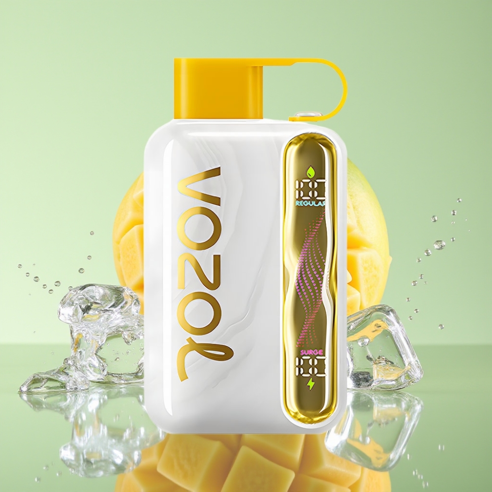 VOZOL STAR 40000 Puffs 1000mAh Type-C Manga Gelo