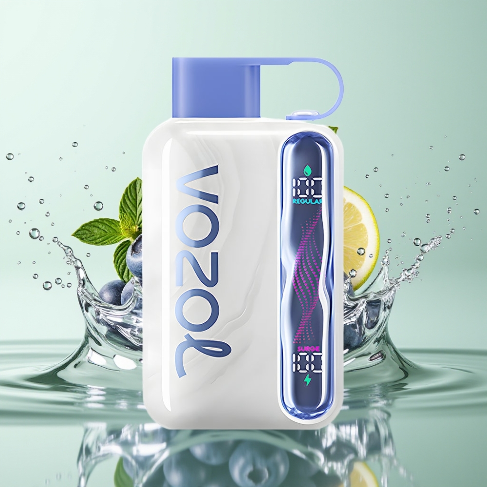 VOZOL STAR 40000 Puffs Vape Descartável 1000mAh Type-C Menta Blueberry